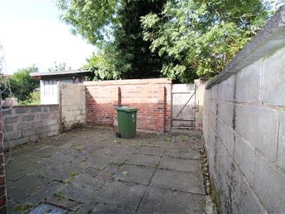 Picture 5